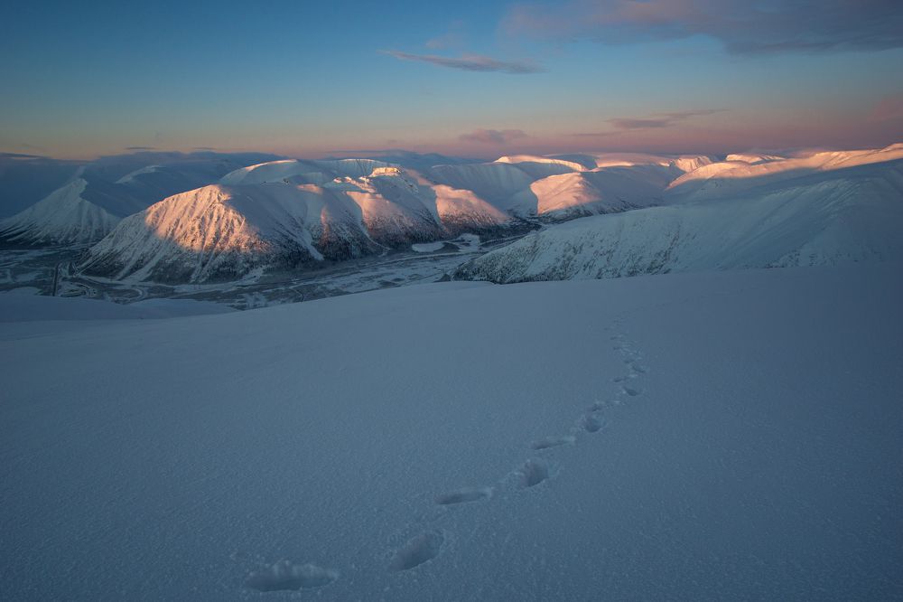 Фотография автора Дмитрий Горнаев