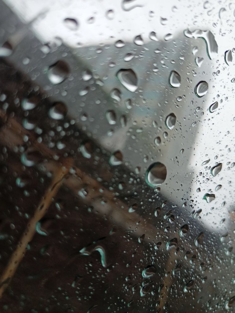 Drops of water, Beauty of Rain