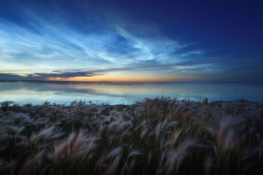 Серебро на берегу озера