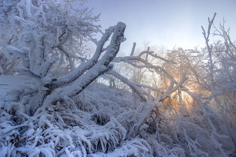 Photograph by Вера Ерифа