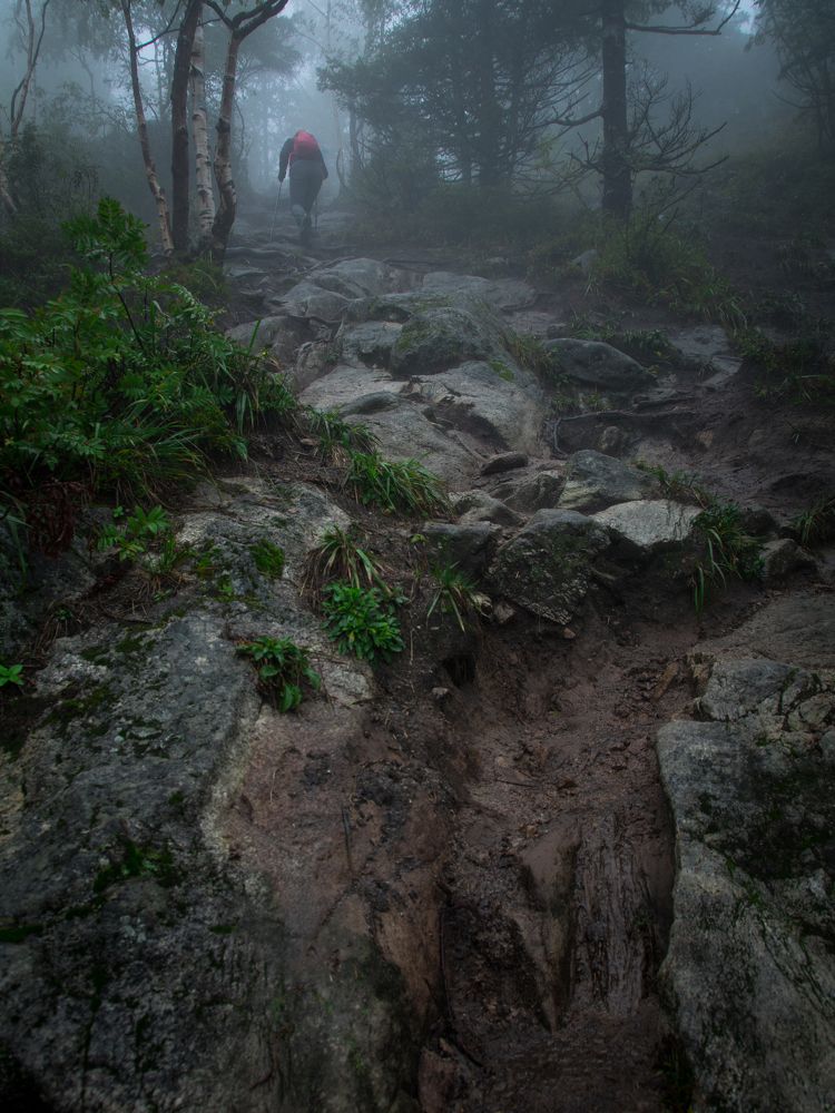 Дорогу осилит идущий