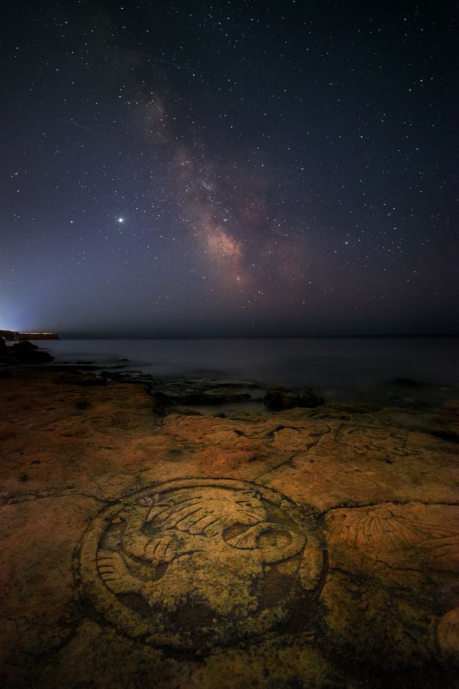 Фотография автора Екатерина Дмитренко