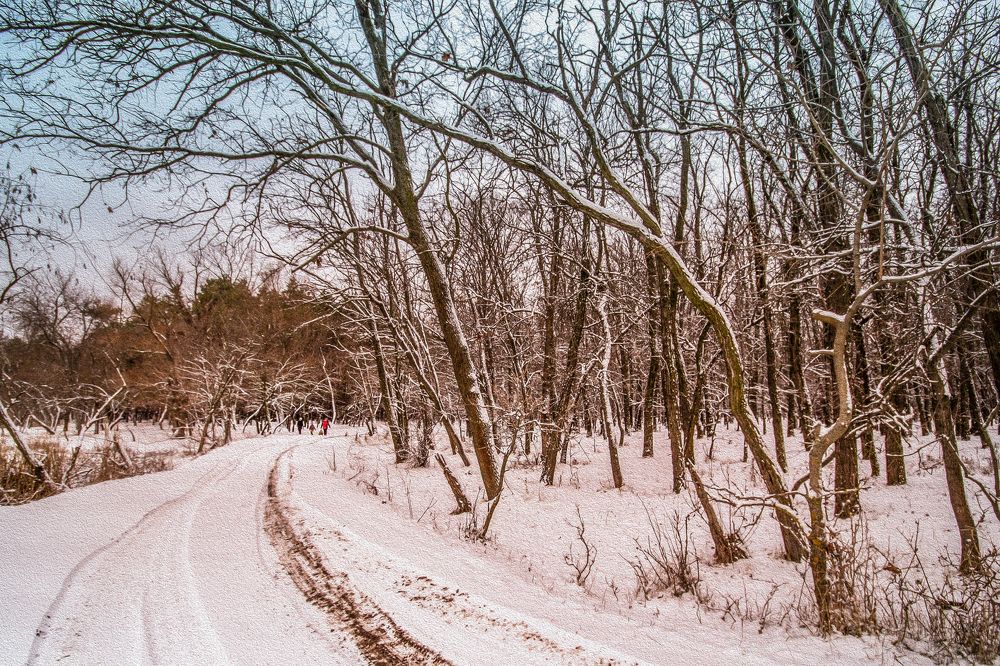 Photograph by Вера Ерифа