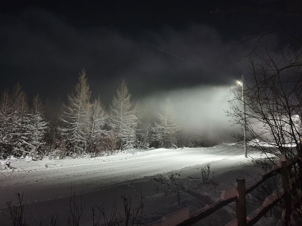 Photograph by Альбина Алексеева - Бугименова