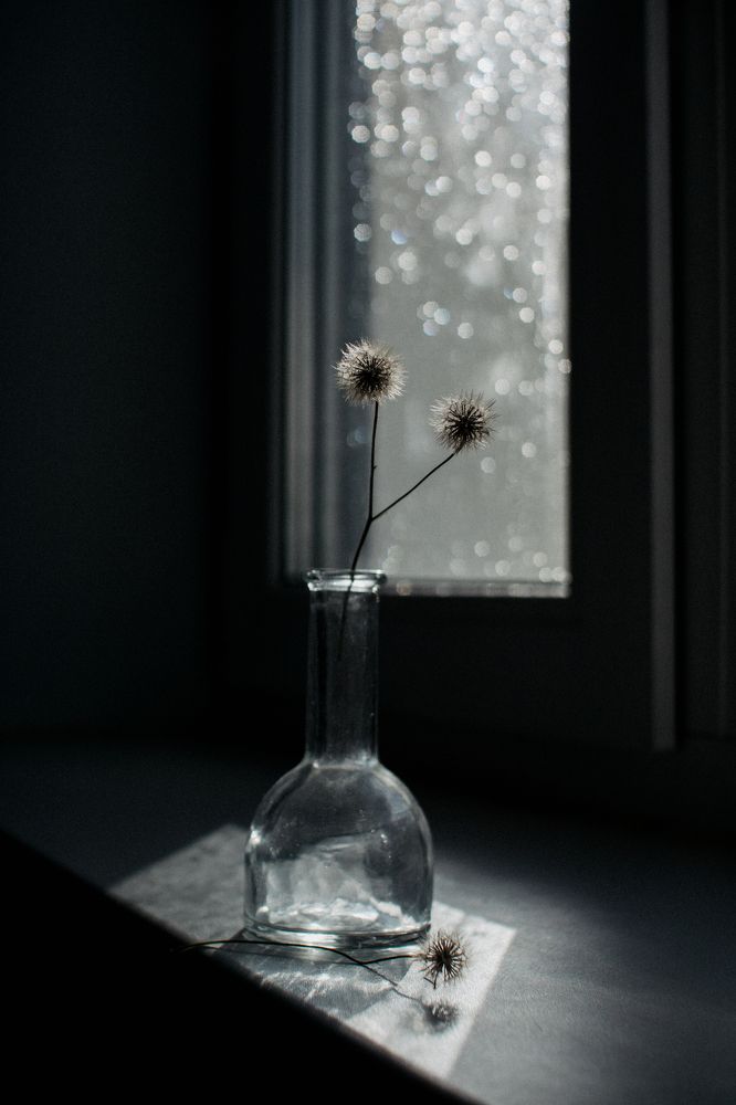 Третий лишний