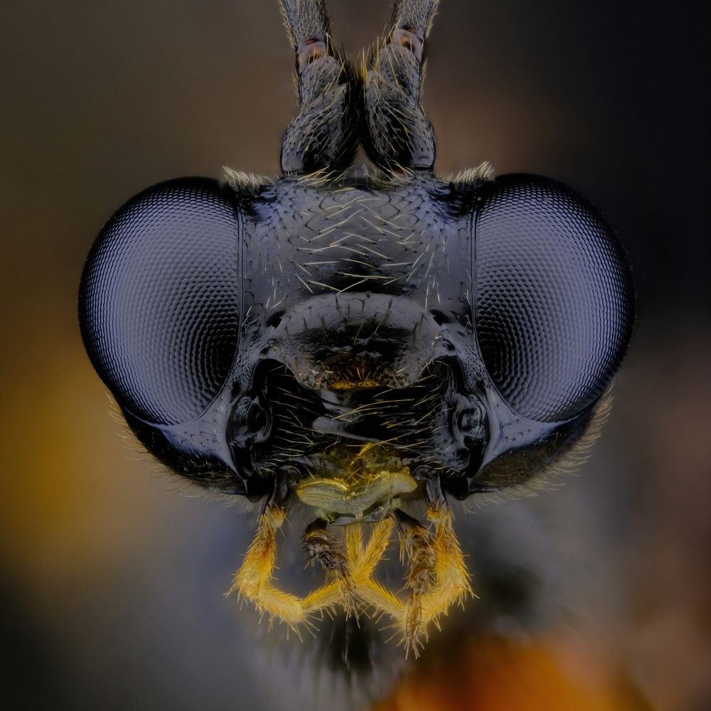 Photograph by Антон Орленко