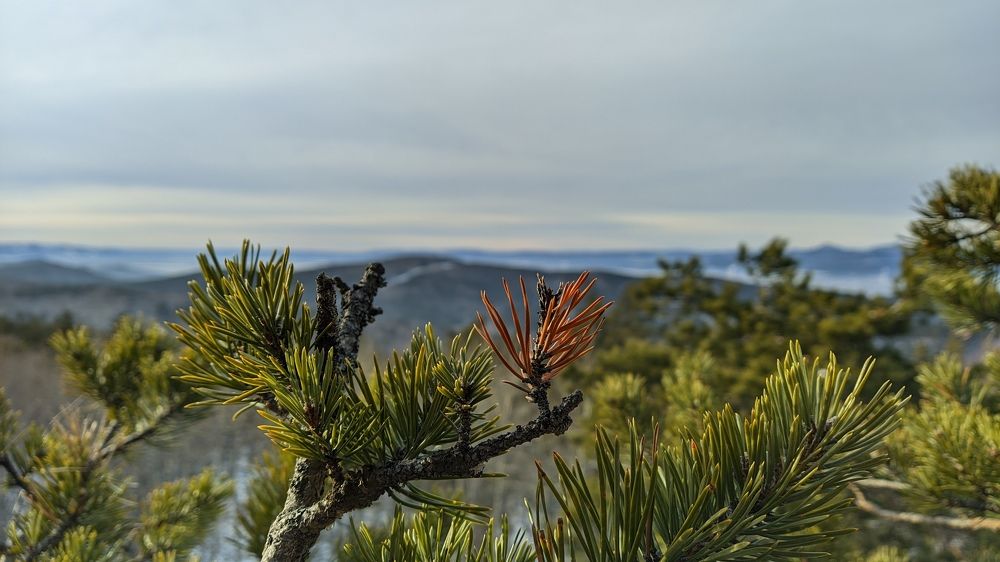 Photograph by Наиль Шакиров