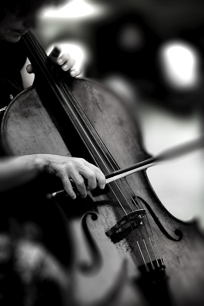 Photograph by Diana Raico