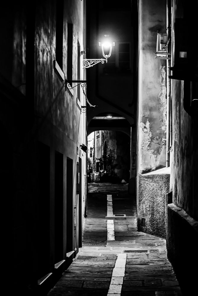 Photograph by Diana Raico