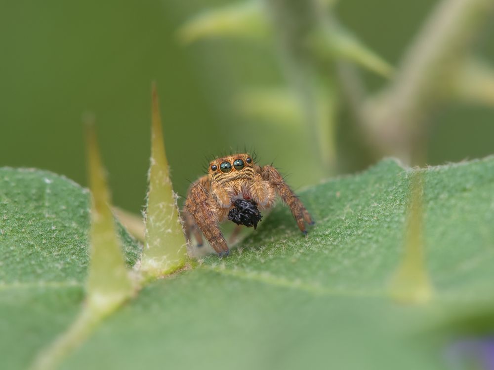 Photograph by Anindita Datta Muhuri