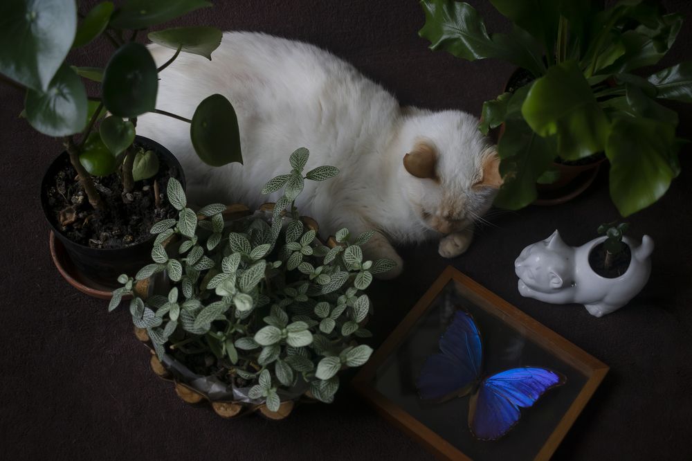 Photograph by Maria de los Angeles Osorio