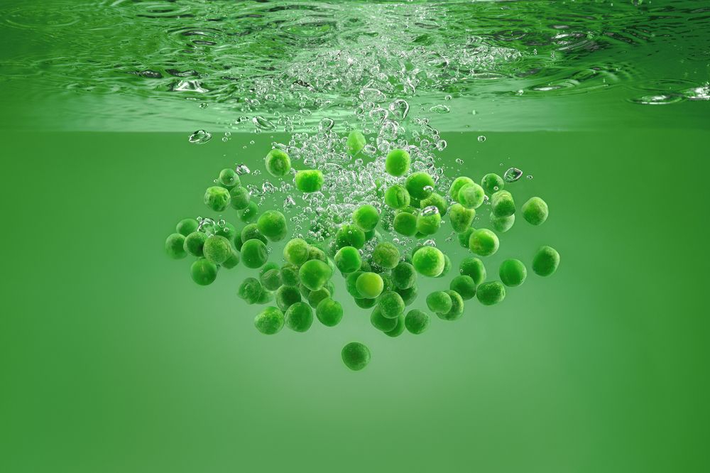 Photograph by Larianna Holm