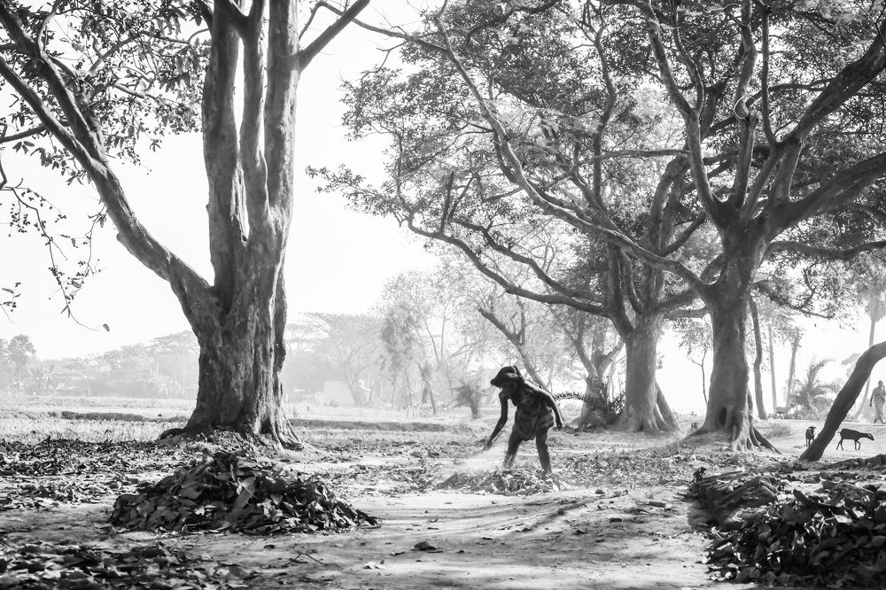 Photograph by Sayani Sil