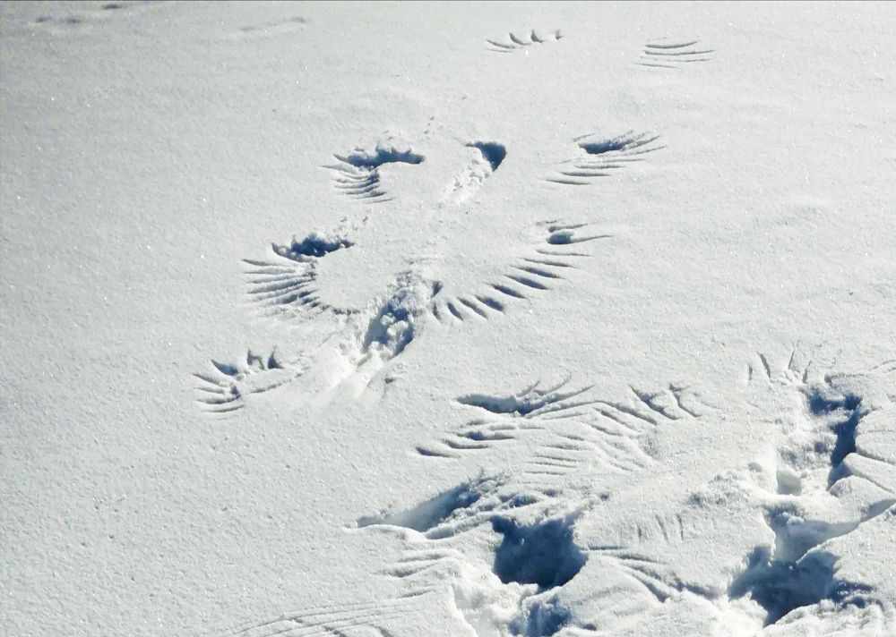 Photograph by Марина