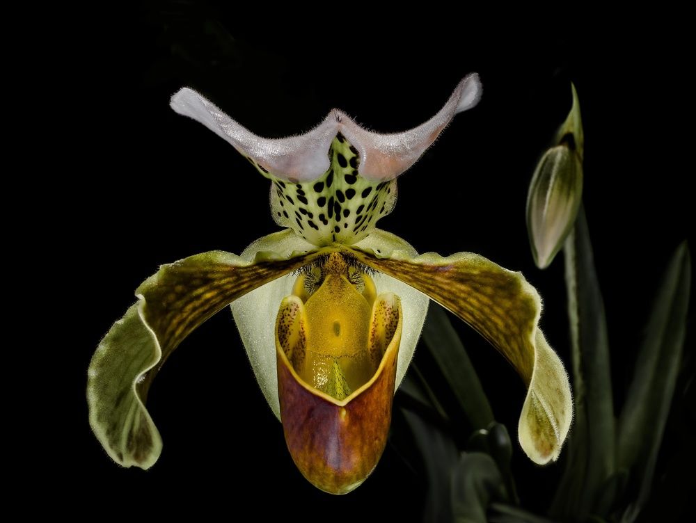 Фотография автора Валентин Черновол