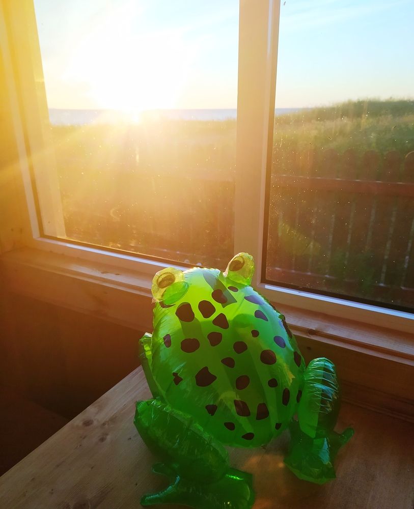 Photograph by Альбина