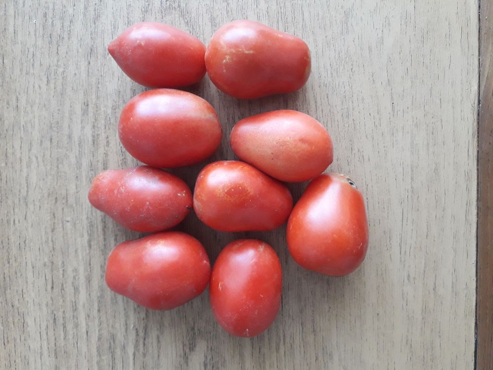 Сладкие лампочки