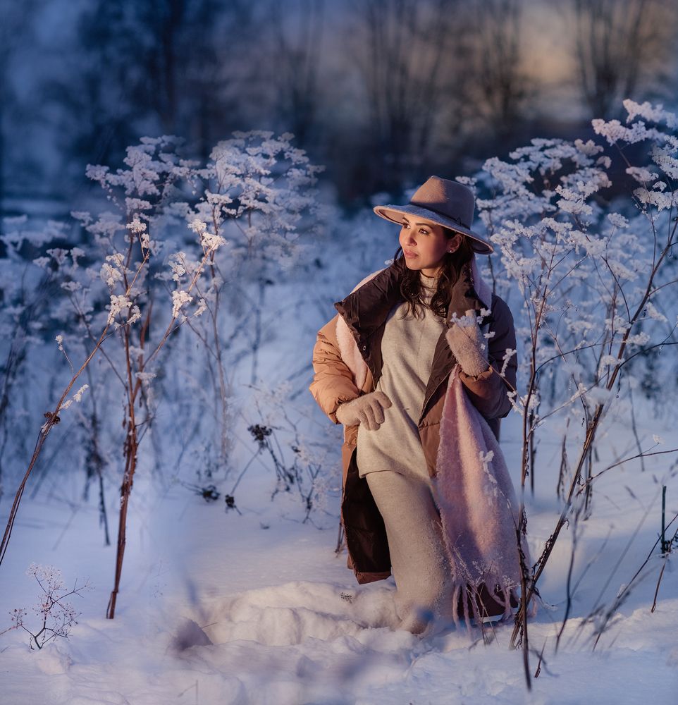 Зимний лес...