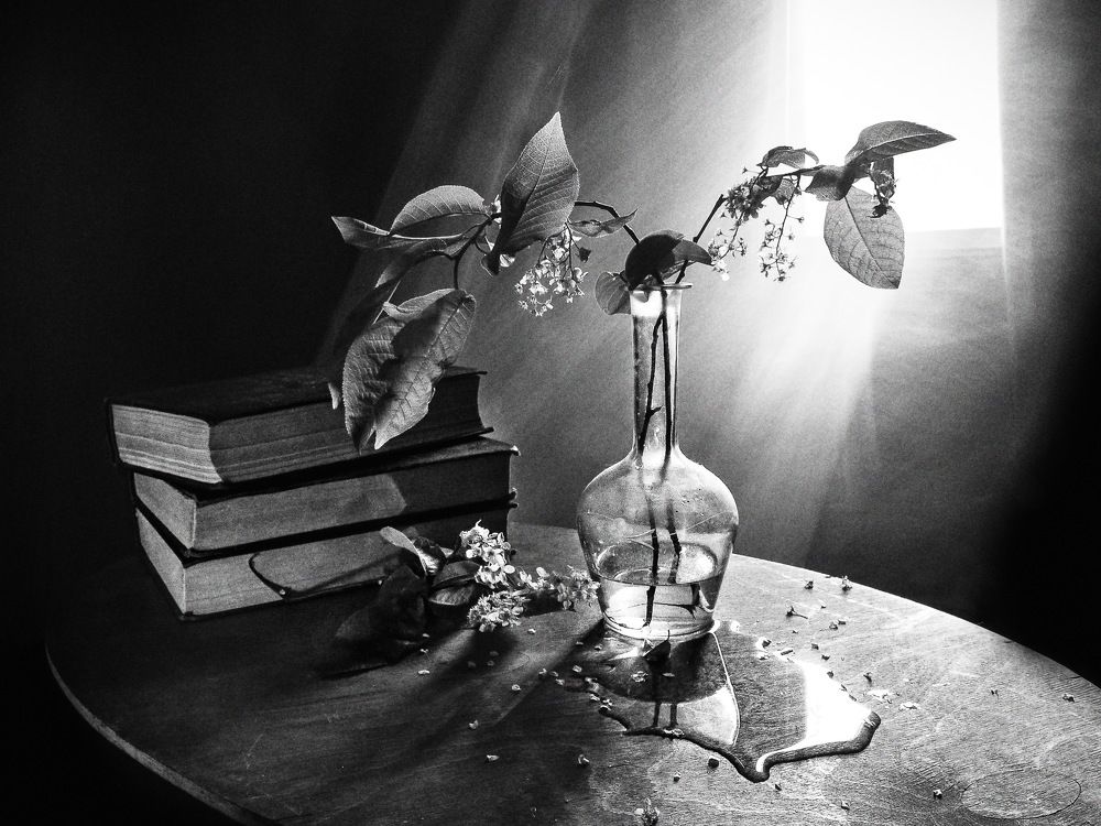 Фотография автора Харитонова Елена