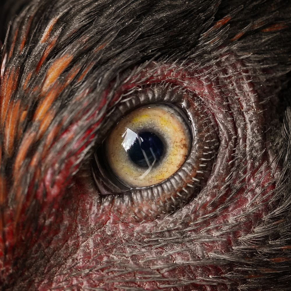 Photograph by Larianna Holm