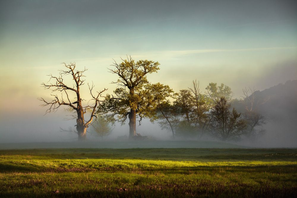 Photograph by Figat Marcin