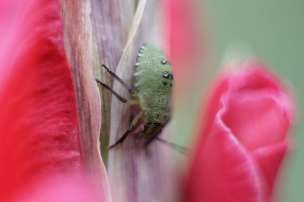 Photograph by Светлана Попкова