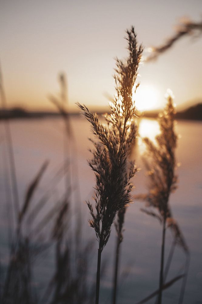 Photograph by Майя Чехова