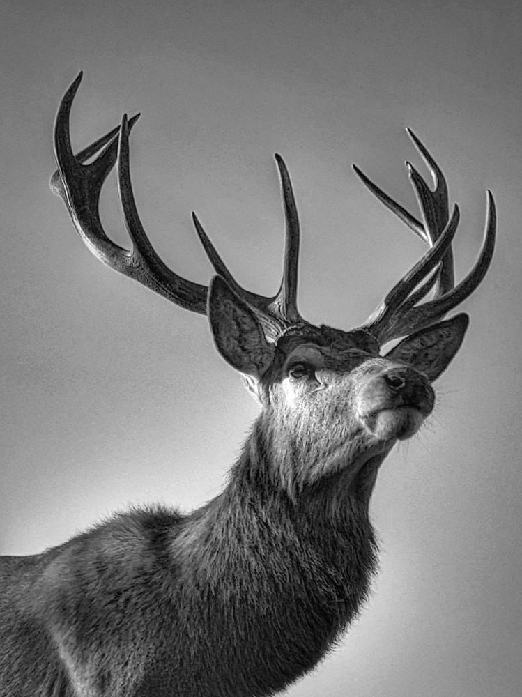 Photograph by Olga Weinberger