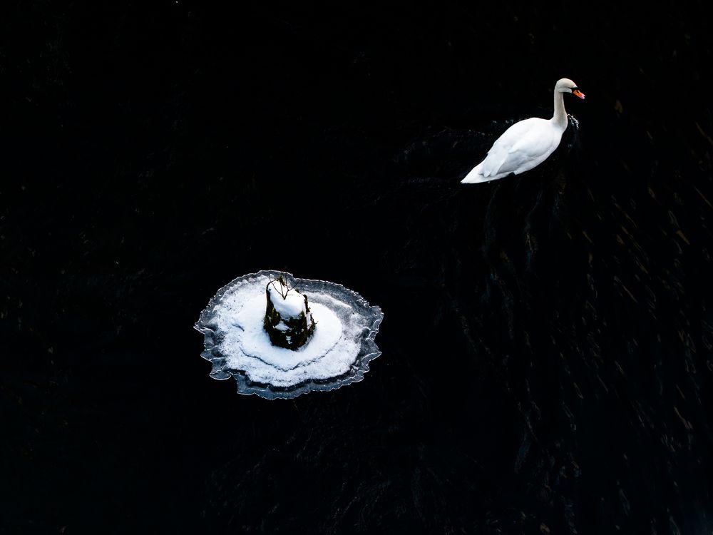 Photograph by Jerzy Safijański