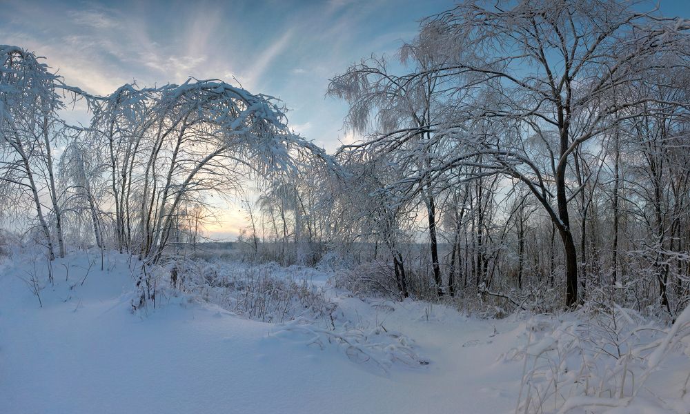 Photograph by Вадим Никифоров
