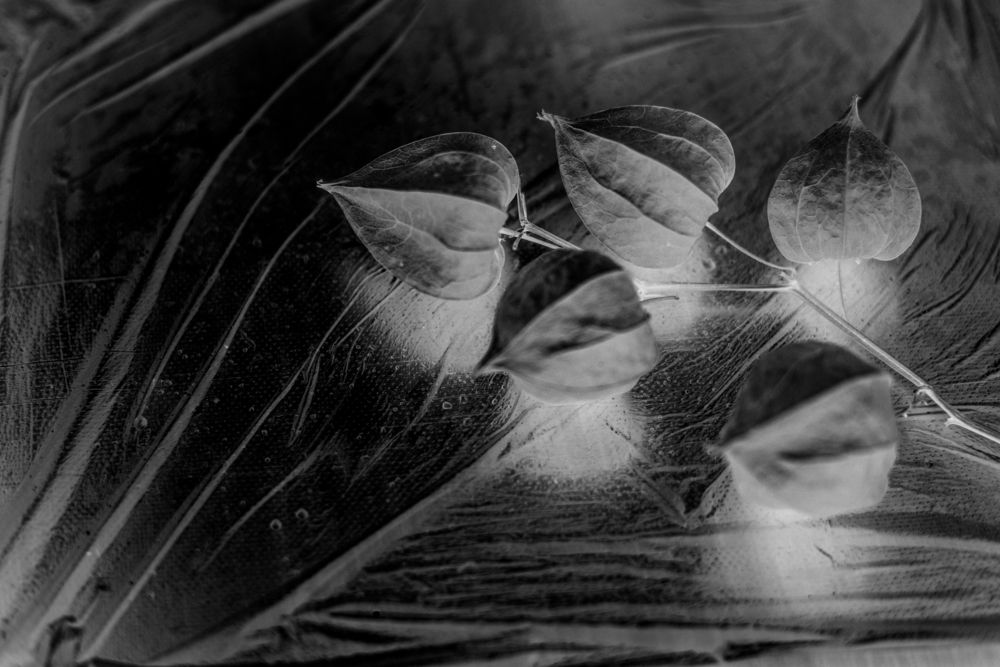 Photograph by Ольга Чуманова