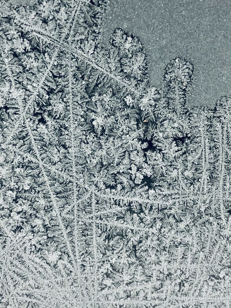 Зимнее кружево