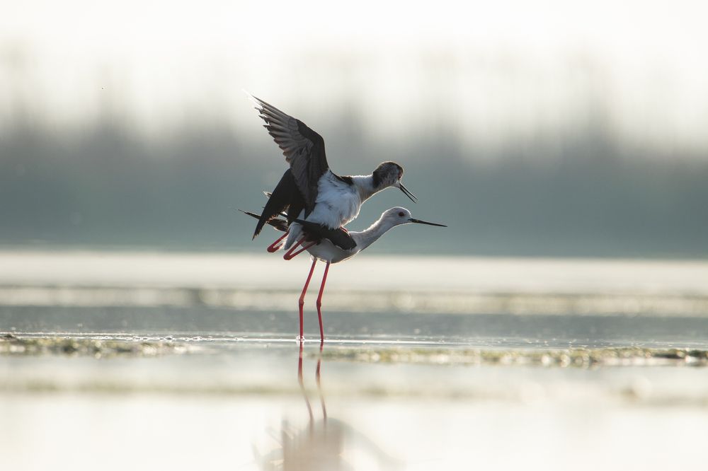 Photograph by Цветков Сергей