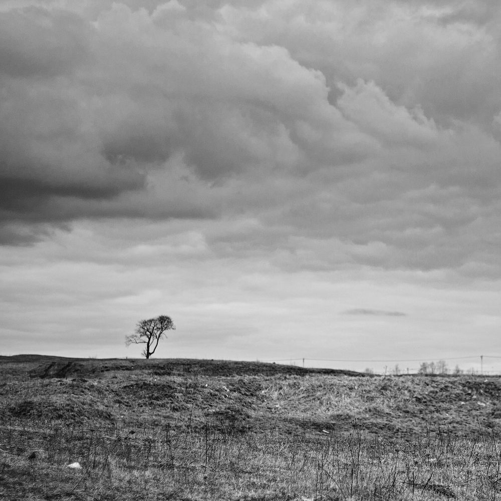 Фотография автора Ярина Яриловец