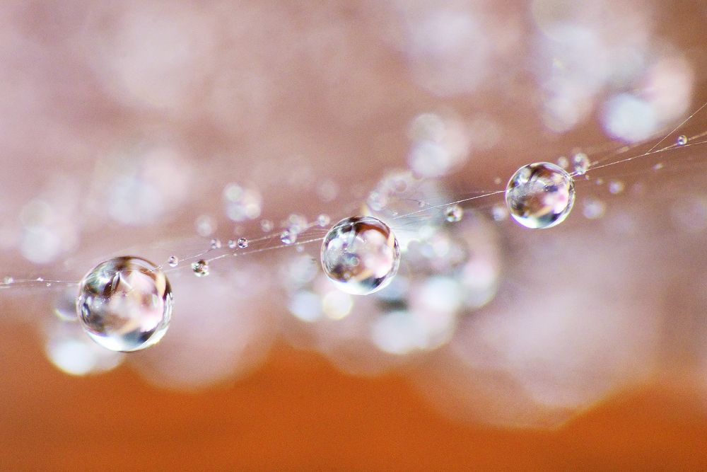 Photograph by Ольга Аристова