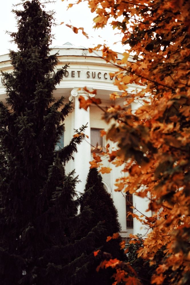 Photograph by Александр Кузьмин