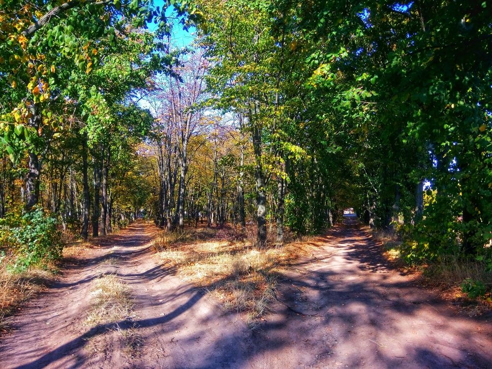 Photograph by Karina