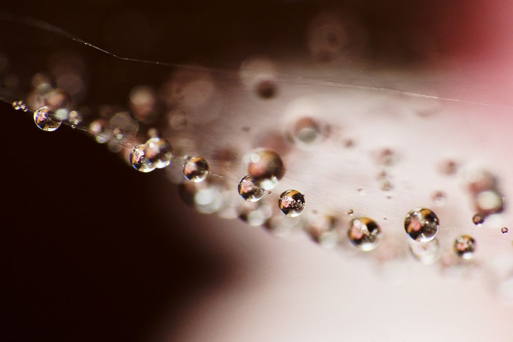 Photograph by Ольга Аристова