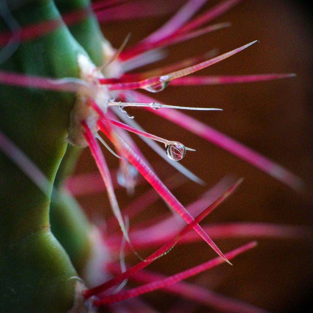 Photograph by Ольга Аристова