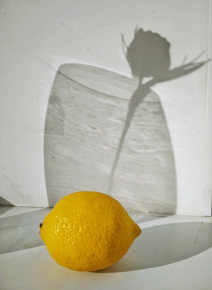 Photograph by Татьяна