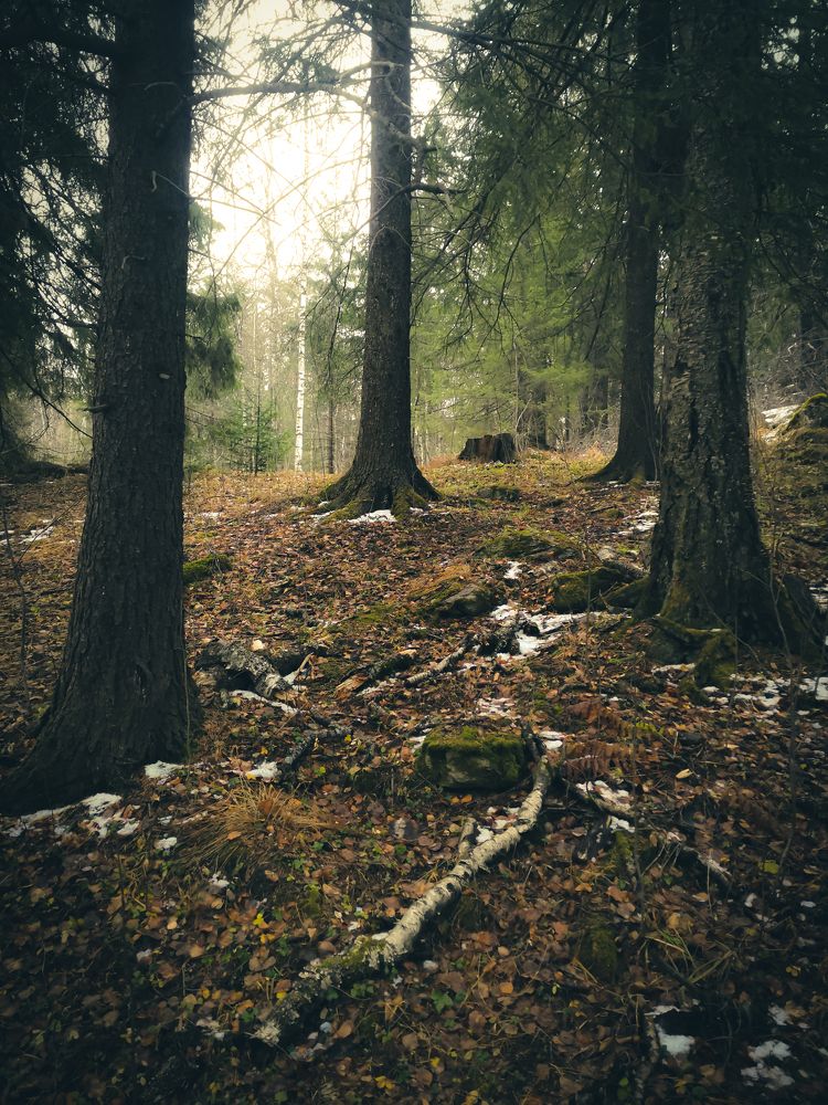 Photograph by Юлия