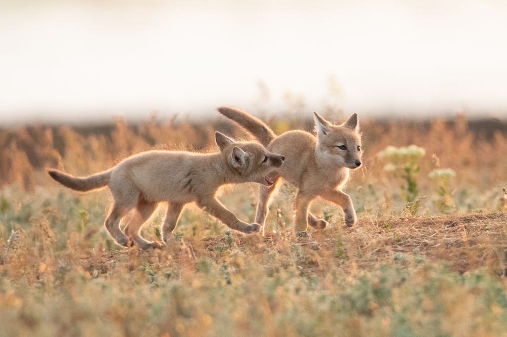 Photograph by Цветков Сергей