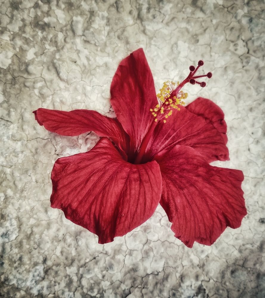 Photograph by Татьяна