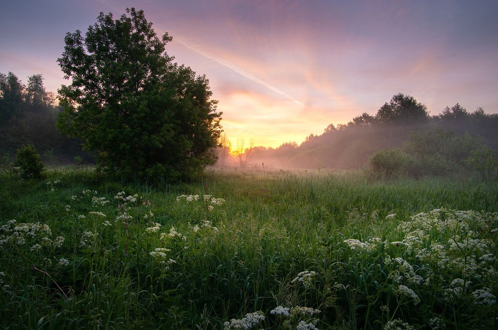 Photograph by Радик Гатауллин