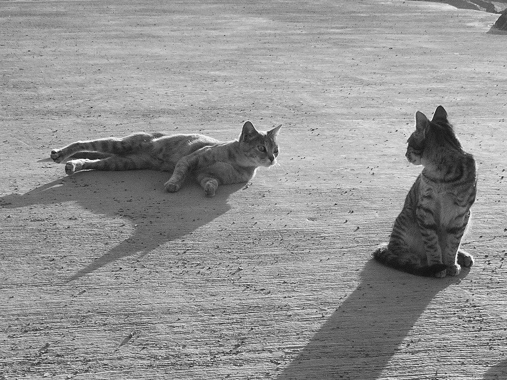 Photograph by Игорь