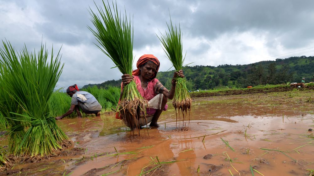 Photograph by prashant kharote