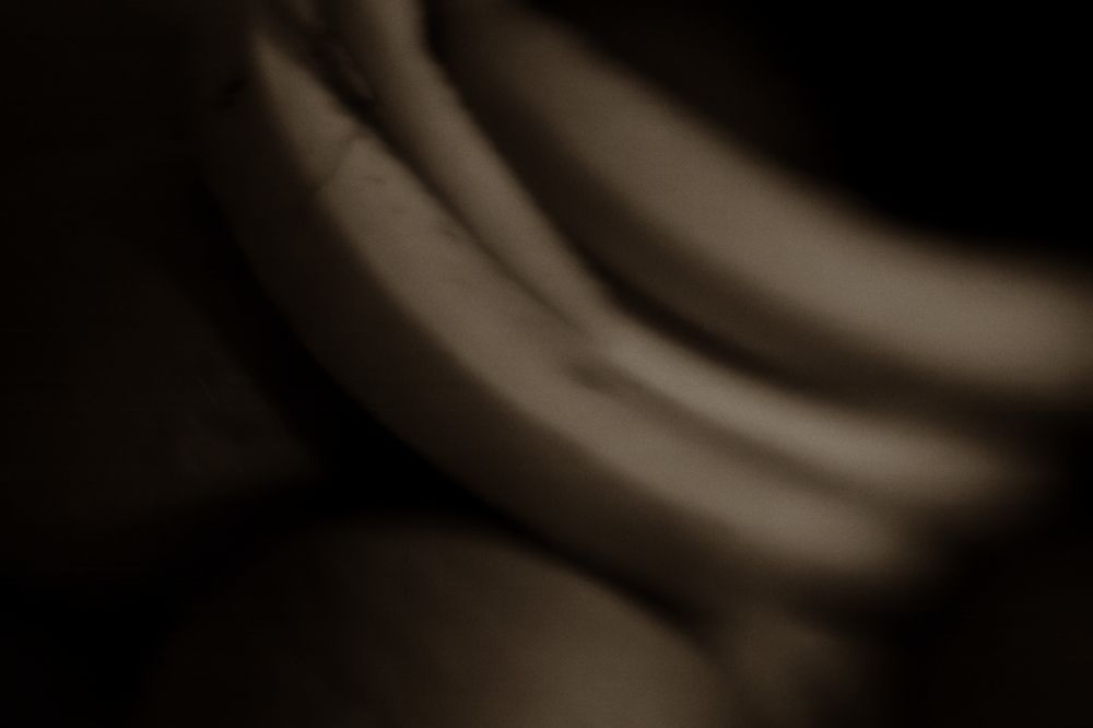 still life with fruits