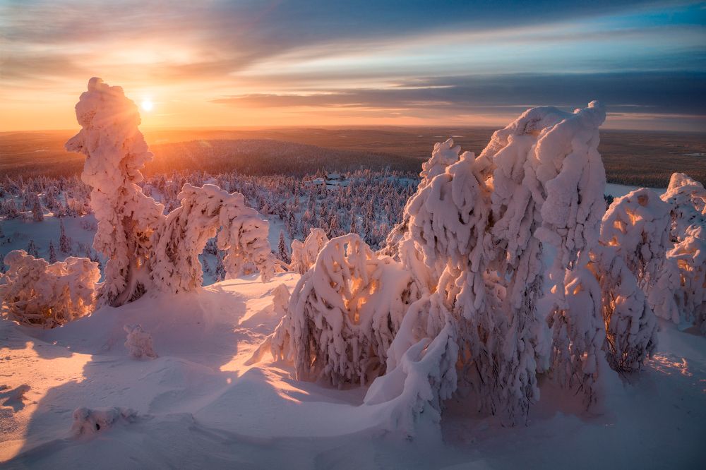 Предчувствие весны