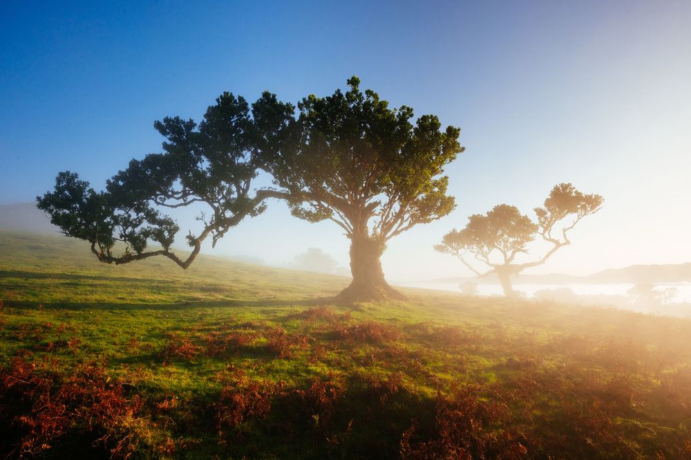 Photograph by Vitalis Vasylius