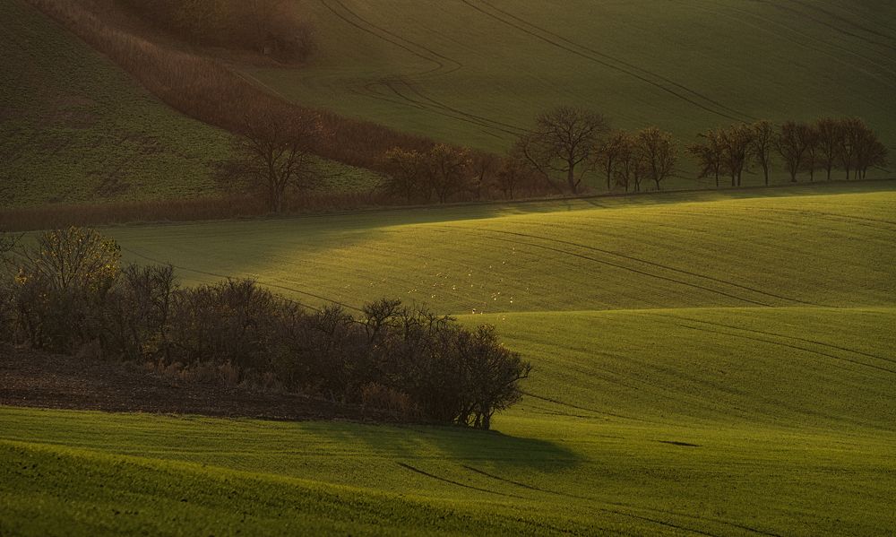 Photograph by Евгений Антонов